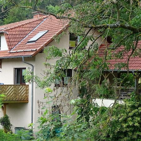 Ferienwohnung Am Berggrabenweg 伊尔梅瑙 外观 照片