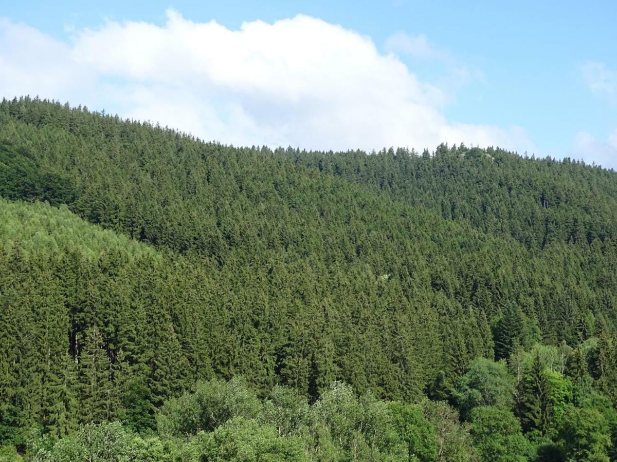 Ferienwohnung Am Berggrabenweg 伊尔梅瑙 外观 照片