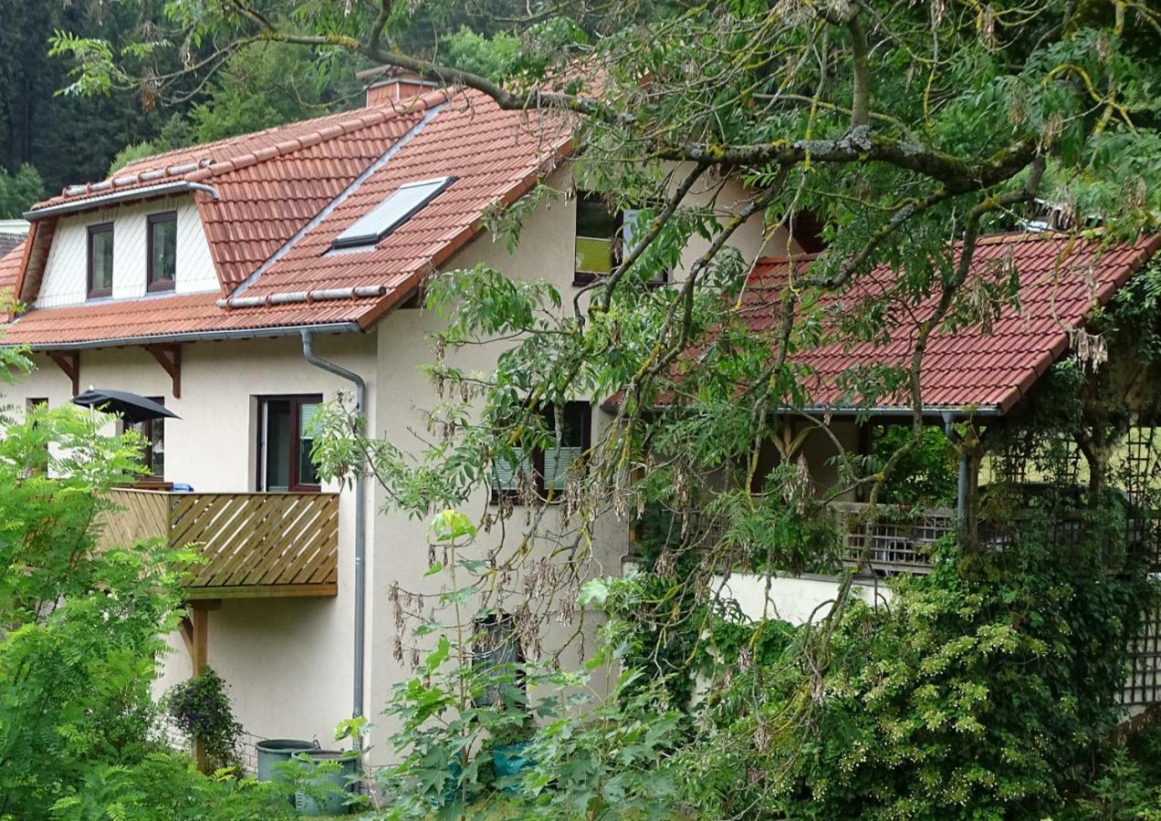 Ferienwohnung Am Berggrabenweg 伊尔梅瑙 外观 照片
