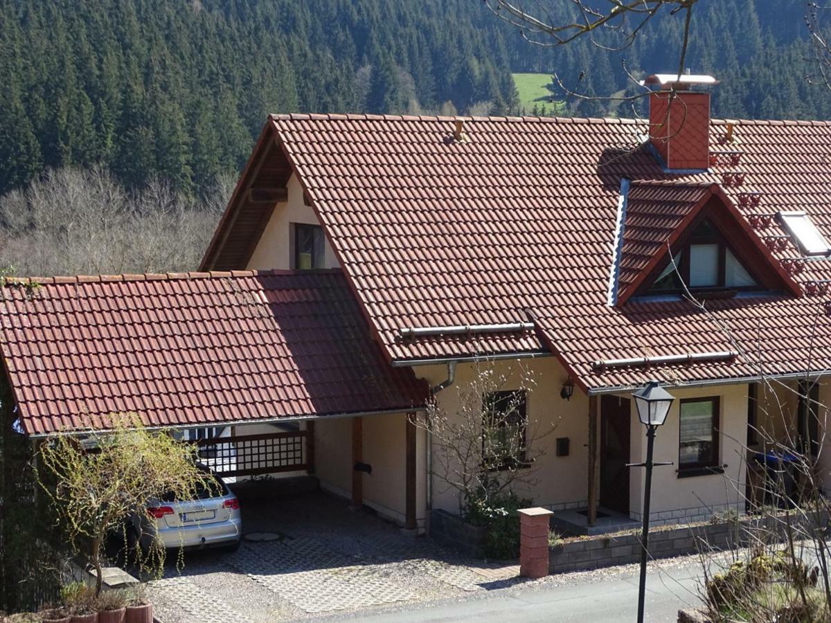 Ferienwohnung Am Berggrabenweg 伊尔梅瑙 外观 照片